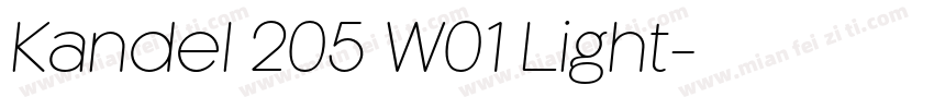Kandel 205 W01 Light字体转换